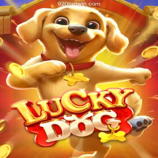 Exploring LuckyDog: The Exciting Game on 920bet.com, Brazil's Top Betting Platform